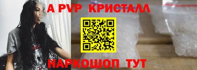 гашик Донецк