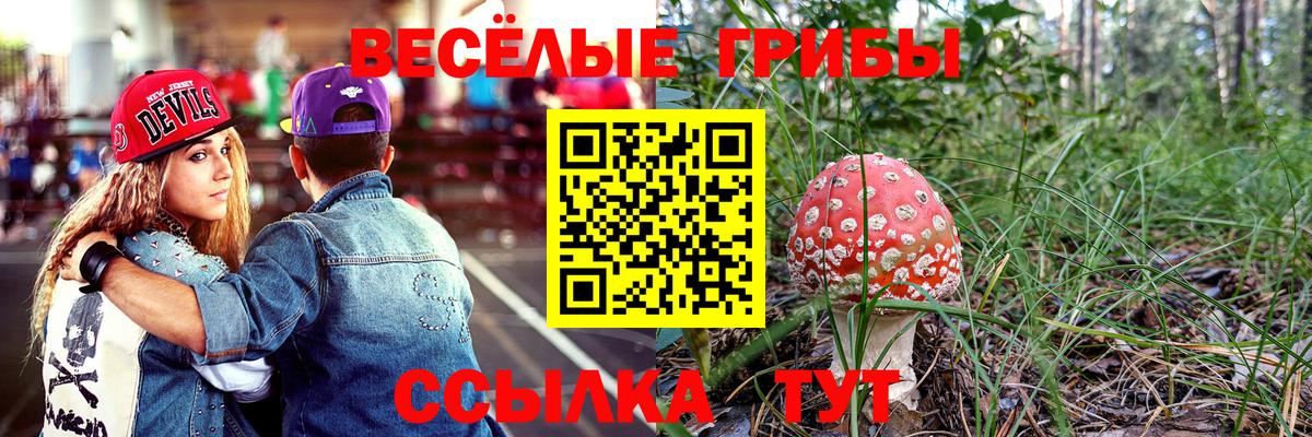 Галлюциногенные грибы ЛСД  Псилоцибиновые грибы Magic Shrooms  Муром  Вход с VPN 